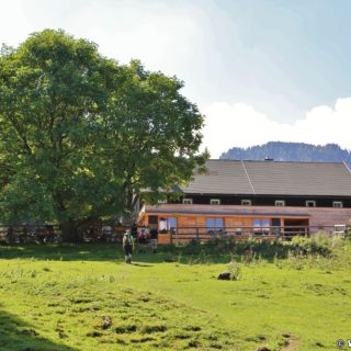 Ötschergräben - Schutzhaus Vorderötscher. Die Einkehrstation Schutzhaus Vorderötscher lockt nicht nur mit Speis und Trank, sondern auch mit einem preiswerten Matratzenlager oder netten Zimmern zum Übernachten. - Gebäude, Haus, Ötschergräben, Hintere Ötschergräben, Schutzhaus Vorderötscher - (Hagen, Mitterbach-Seerotte, Niederösterreich, Österreich)