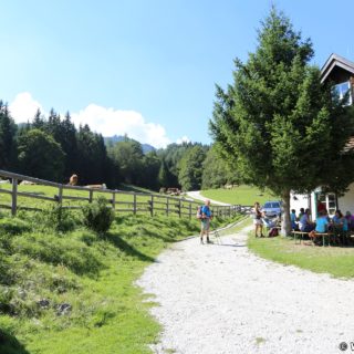 Ötschergräben - Schutzhaus Vorderötscher. Die Einkehrstation Schutzhaus Vorderötscher lockt nicht nur mit Speis und Trank, sondern auch mit einem preiswerten Matratzenlager oder netten Zimmern zum Übernachten. - Gebäude, Haus, Ötschergräben, Hintere Ötschergräben, Schutzhaus Vorderötscher - (Hagen, Mitterbach-Seerotte, Niederösterreich, Österreich)