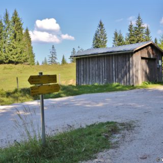 Ötschergräben - Ötscherstraße. Entlang der Ötscherstraße/Forststraße, welche sich endlos lang dahin zieht, geht es vorbei am Hagengut über den Erlaufstausee zum Bahnhof Erlaufklause wo man die Himmelstreppe (Zug) besteigt um wieder zum Ausgangspunkt Wienerbruck zurückzukehren.. - Gebäude, Strasse, Landschaft, Tafel, Bäume, Hütte, Weg, Beschilderung, Ötschergräben, Ötscherstraße, Scheune, Stadl - (Hagen, Mitterbach-Seerotte, Niederösterreich, Österreich)