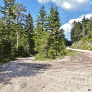 Ötschergräben - Hagengut. Entlang der Ötscherstraße/Forststraße, welche sich endlos lang dahin zieht, geht es vorbei am Hagengut über den Erlaufstausee zum Bahnhof Erlaufklause wo man die Himmelstreppe (Zug) besteigt um wieder zum Ausgangspunkt Wienerbruck zurückzukehren.. - Strasse, Bäume, Weg, Ötschergräben, Ötscherstraße, Wald - (Hagen, Mitterbach-Seerotte, Niederösterreich, Österreich)