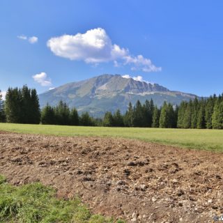 Ötschergräben - Hagengut. Entlang der Ötscherstraße/Forststraße, welche sich endlos lang dahin zieht, geht es vorbei am Hagengut über den Erlaufstausee zum Bahnhof Erlaufklause wo man die Himmelstreppe (Zug) besteigt um wieder zum Ausgangspunkt Wienerbruck zurückzukehren.. - Bäume, Berg, Ötschergräben, Ötscher, Wiese, Ötscherstraße - (Hagen, Mitterbach-Seerotte, Niederösterreich, Österreich)